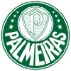 Palmeiras Barneklær